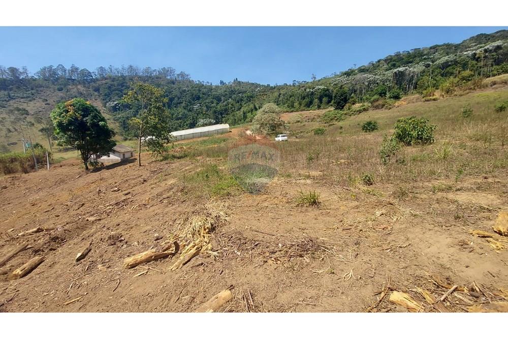 Terreno - Venda - Domingos Martins , Espírito Santo - WhatsApp Image 2025-06-05 at 11.09.49.jpeg - 620171060-3