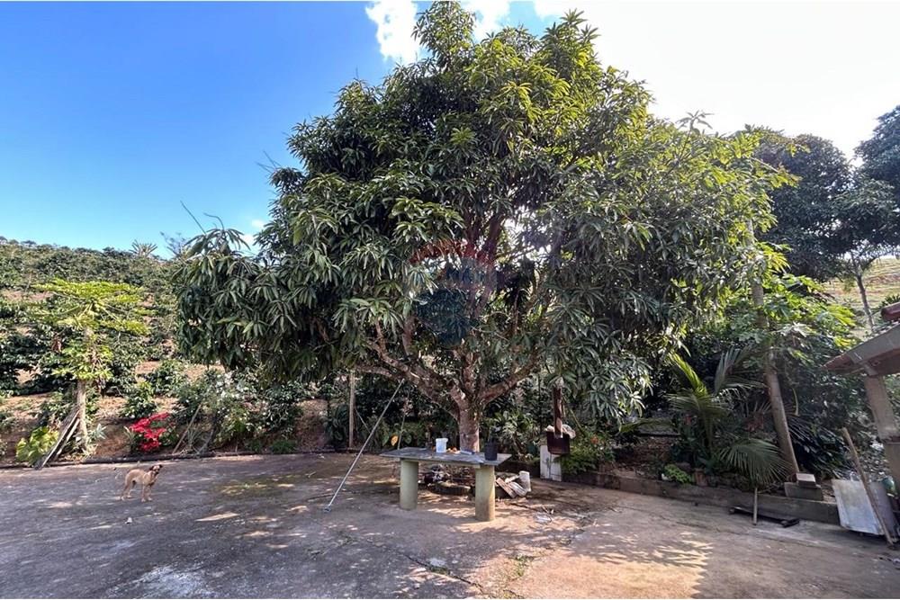 Chácara / Sítio / Fazenda - Venda - Guaçuí , Espírito Santo - WhatsApp Image 2025-09-22 at 10.16.34.jpeg - 620251002-15