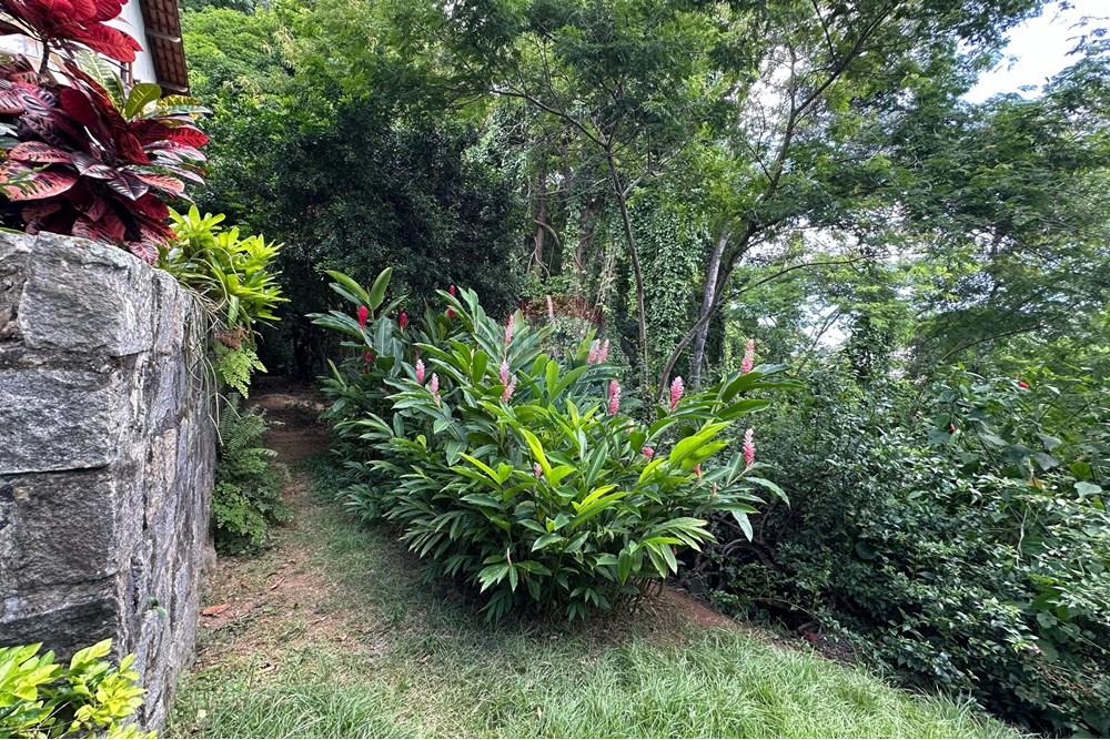 Terreno - Venda - Vitória , Espírito Santo - WhatsApp Image 2025-03-20 at 15.13.19.jpeg - 620171023-49