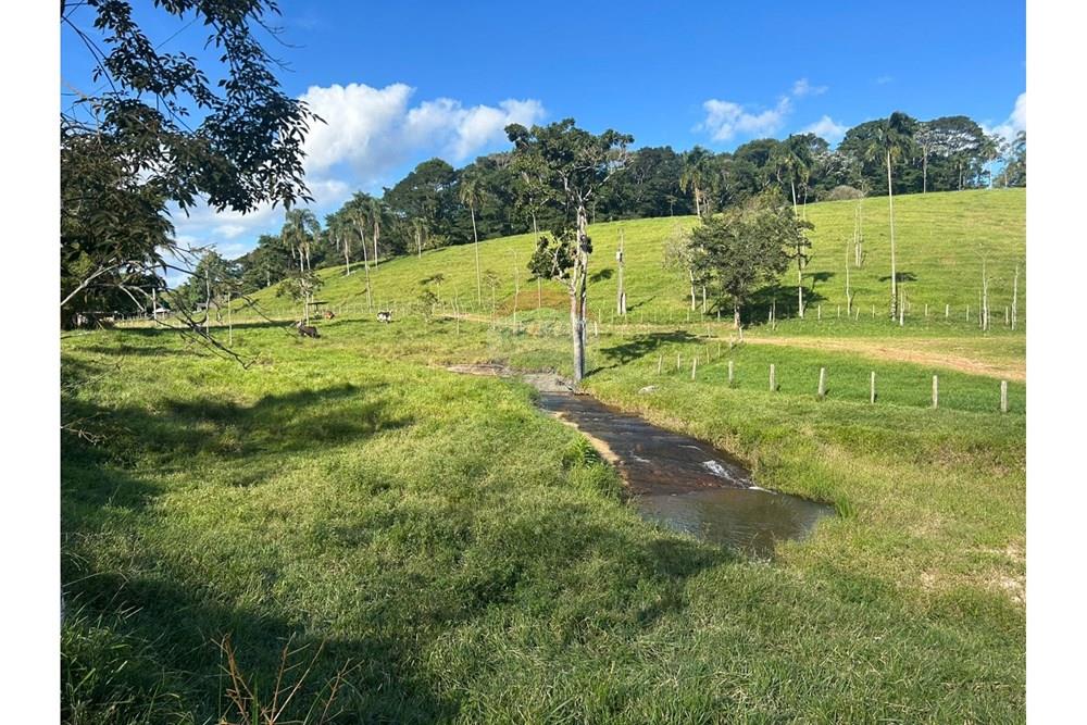 Chácara / Sítio / Fazenda - Venda - Guaçuí , Espírito Santo - WhatsApp Image 2025-05-20 at 09.31.44 (3).jpeg - 620251001-6