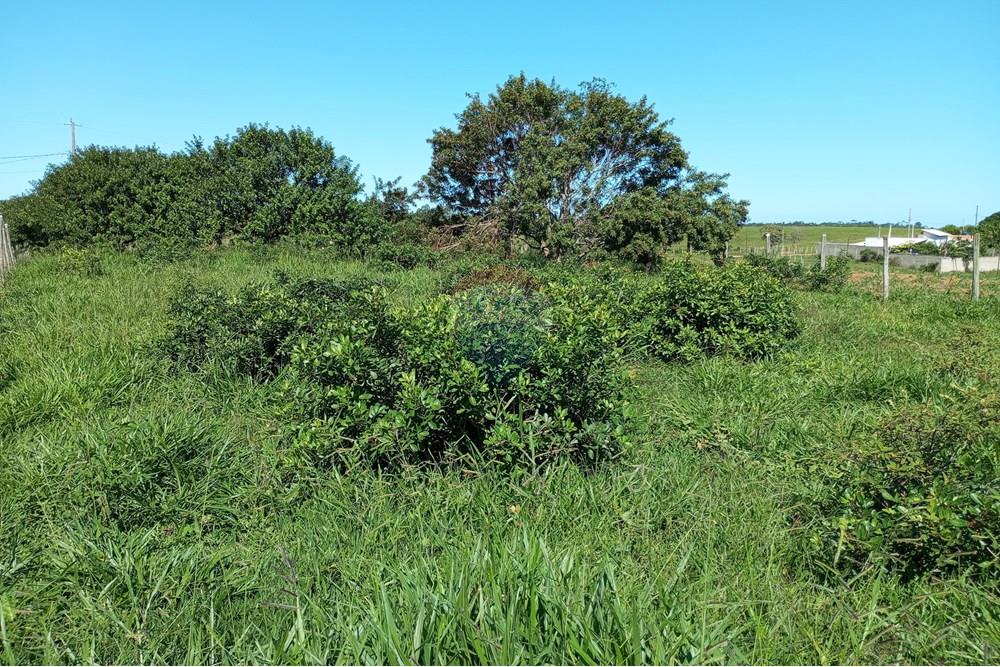 Terreno - Venda - Anchieta , Espírito Santo - IMG_20250520_124726.jpg - 620181007-45