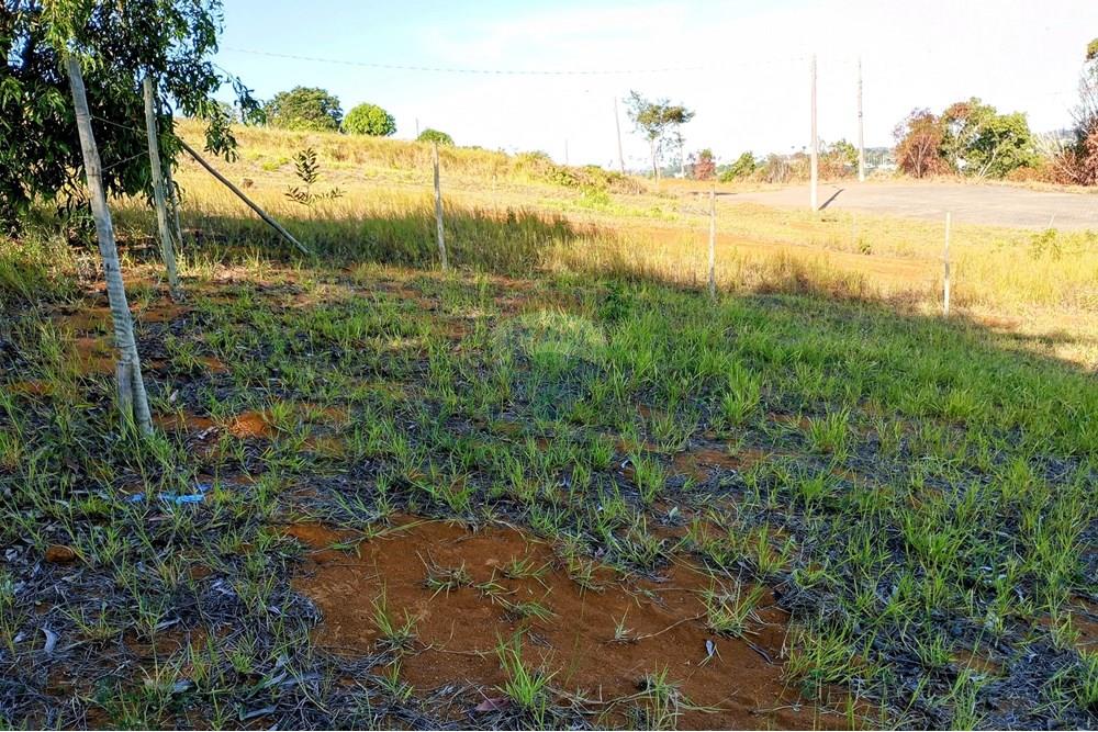 Terreno - Venda - Anchieta , Espírito Santo - IMG_20250226_162716~2.jpg - 620181007-37