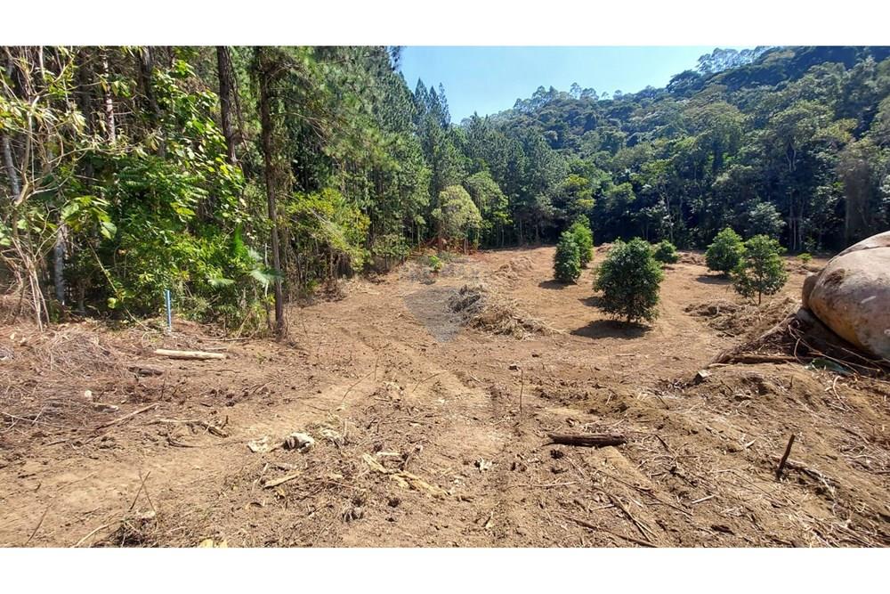 Terreno - Venda - Domingos Martins , Espírito Santo - WhatsApp Image 2025-06-05 at 11.09.50 (1).jpeg - 620171060-3
