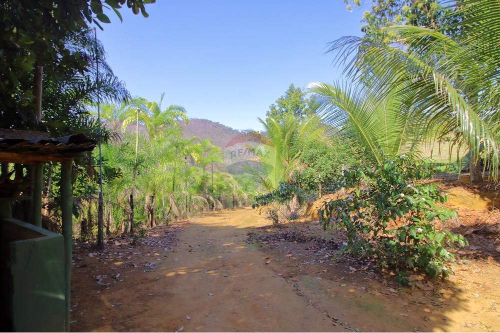 Chácara / Sítio / Fazenda - Venda - Santa Leopoldina , Espírito Santo - 8.JPG - 620171030-30