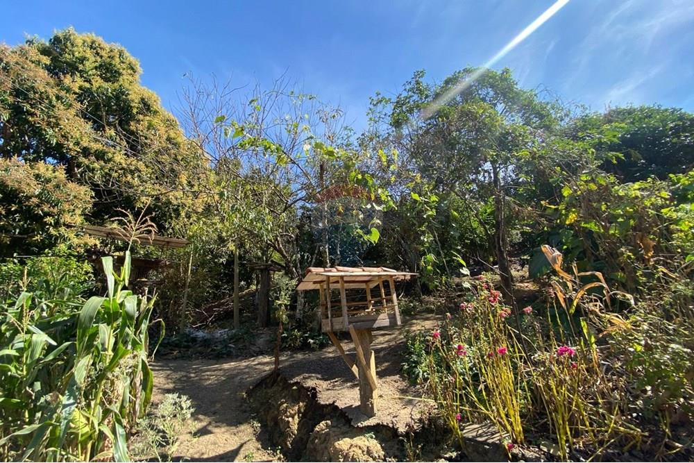 Chácara / Sítio / Fazenda - Venda - Alegre , Espírito Santo - WhatsApp Image 2025-08-15 at 16.18.04 (4).jpeg - 620251001-49