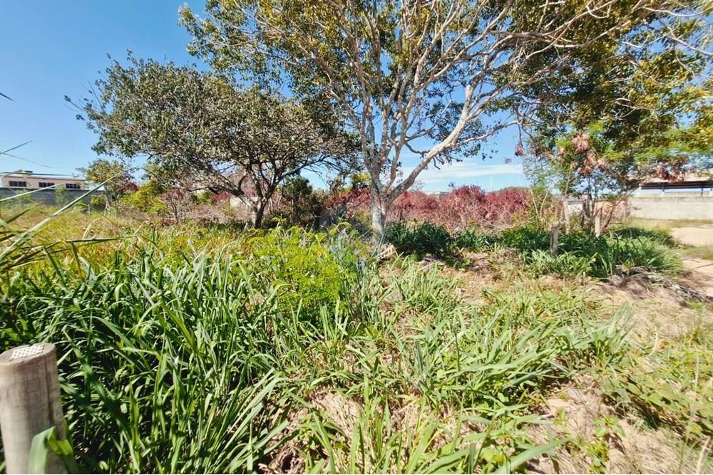 Terreno - Venda - Vila Velha , Espírito Santo - 1.jpg - 620071021-10