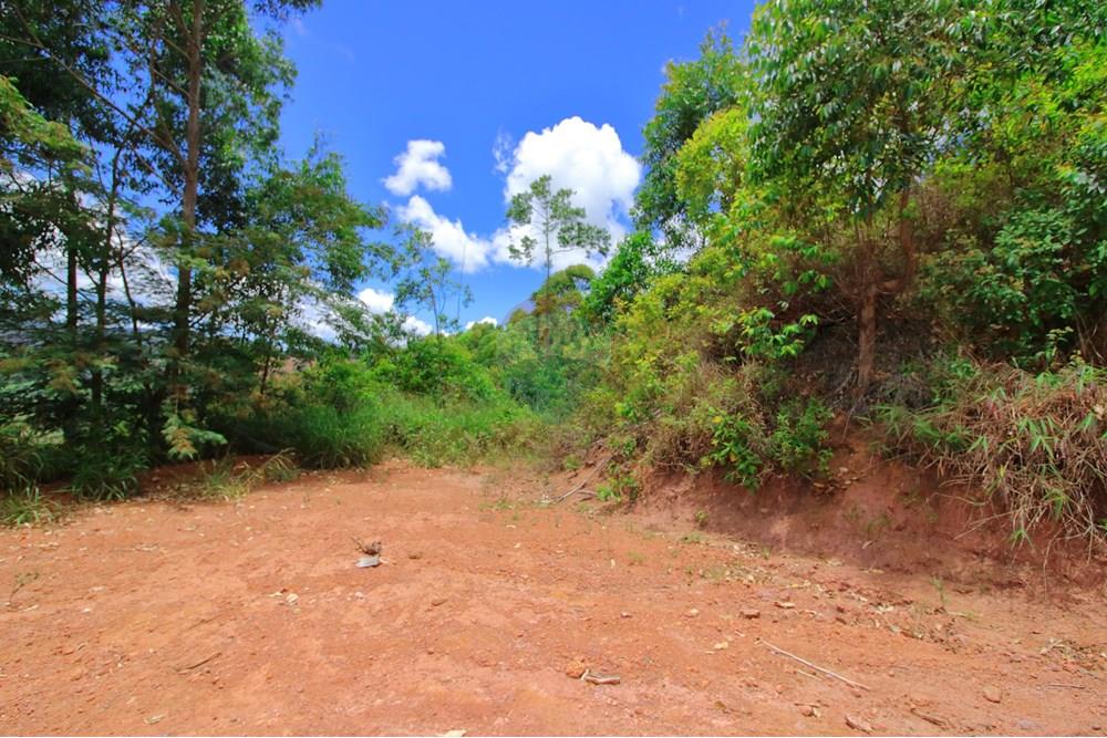 Terreno - Venda - Santa Teresa , Espírito Santo - 4 - Plato Inferior.JPG - 620171030-22