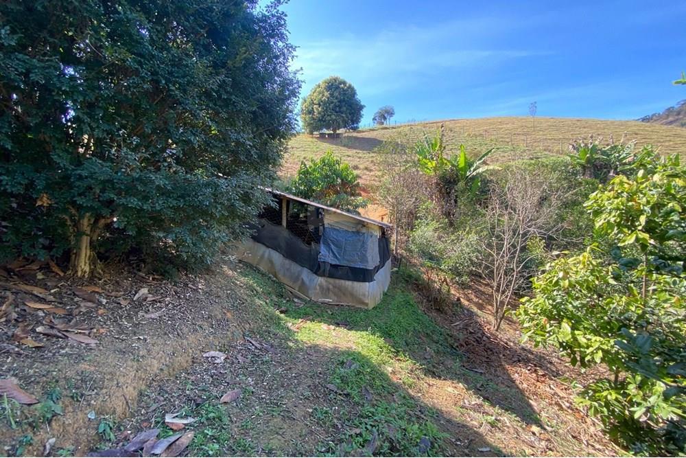 Chácara / Sítio / Fazenda - Venda - Alegre , Espírito Santo - WhatsApp Image 2025-08-15 at 16.18.05 (2).jpeg - 620251001-49