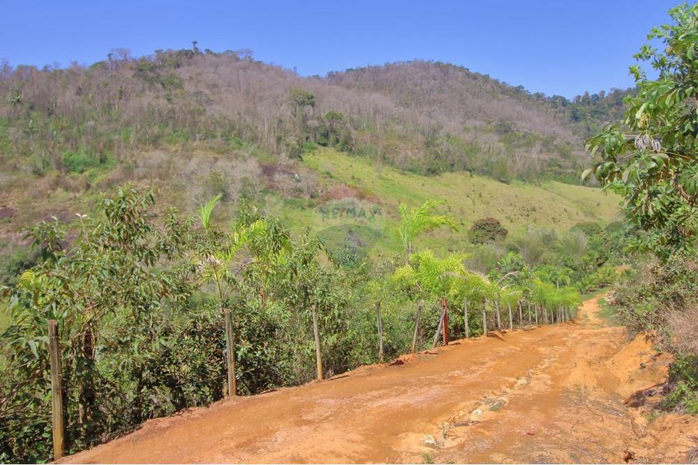 Chácara / Sítio / Fazenda - Venda - Santa Leopoldina , Espírito Santo - 29.JPG - 620171030-30