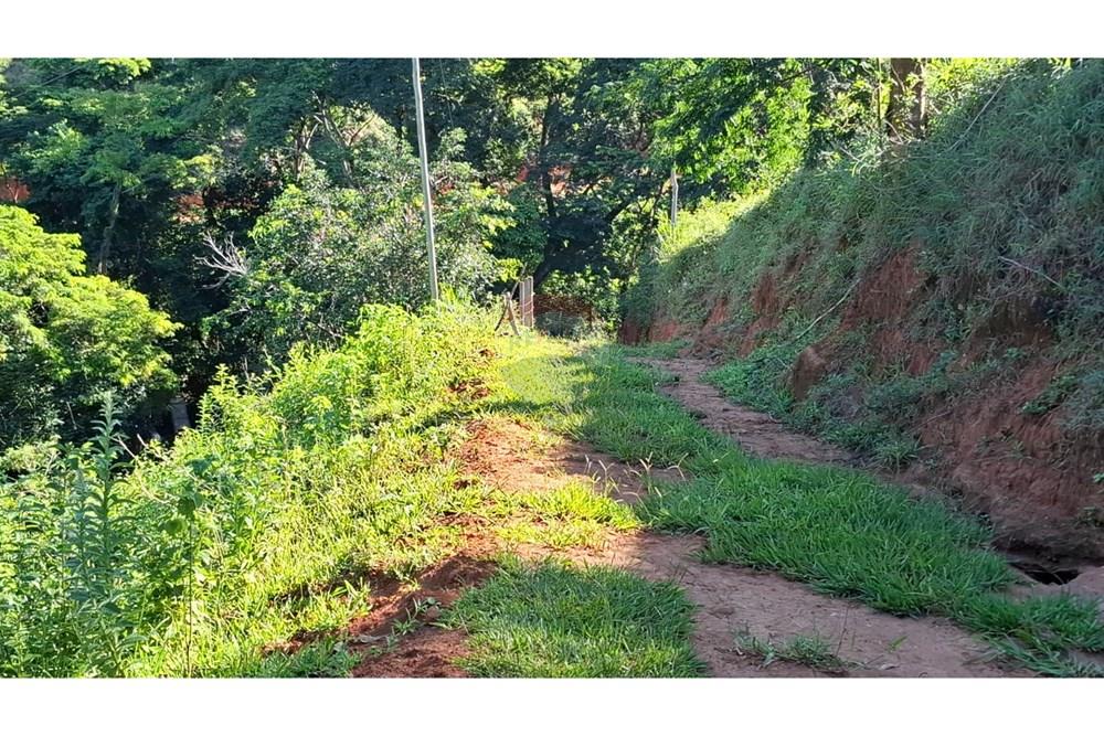 Chácara / Sítio / Fazenda - Venda - Afonso Cláudio , Espírito Santo - WhatsApp Image 2025-02-07 at 17.16.17.jpeg - 620171039-31