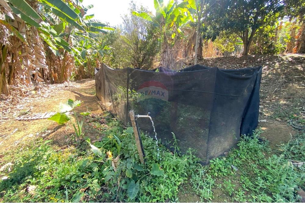 Chácara / Sítio / Fazenda - Venda - Alegre , Espírito Santo - WhatsApp Image 2025-08-15 at 16.18.05 (4).jpeg - 620251001-49