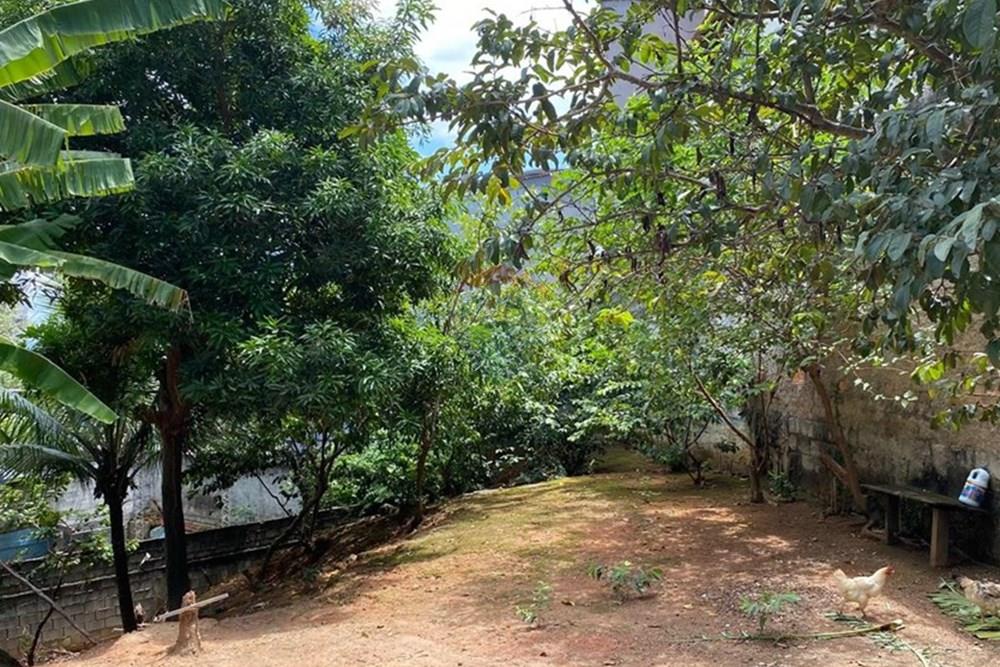 Terreno - Venda - Vila Velha , Espírito Santo - WhatsApp Image 2025-03-18 at 16.12.36.jpeg - 620101035-22