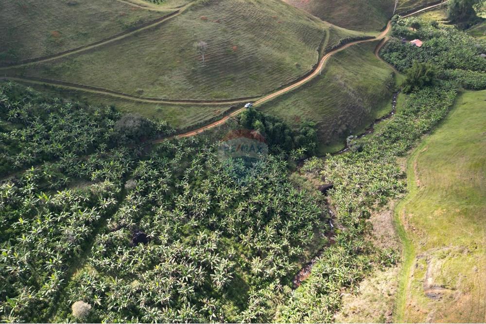 Chácara / Sítio / Fazenda - Venda - Iconha , Espírito Santo - DJI_0517.JPG - 620201020-13