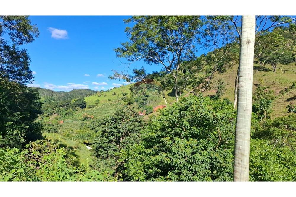 Chácara / Sítio / Fazenda - Venda - Afonso Cláudio , Espírito Santo - WhatsApp Image 2025-02-07 at 17.16.17 (5).jpeg - 620171039-31