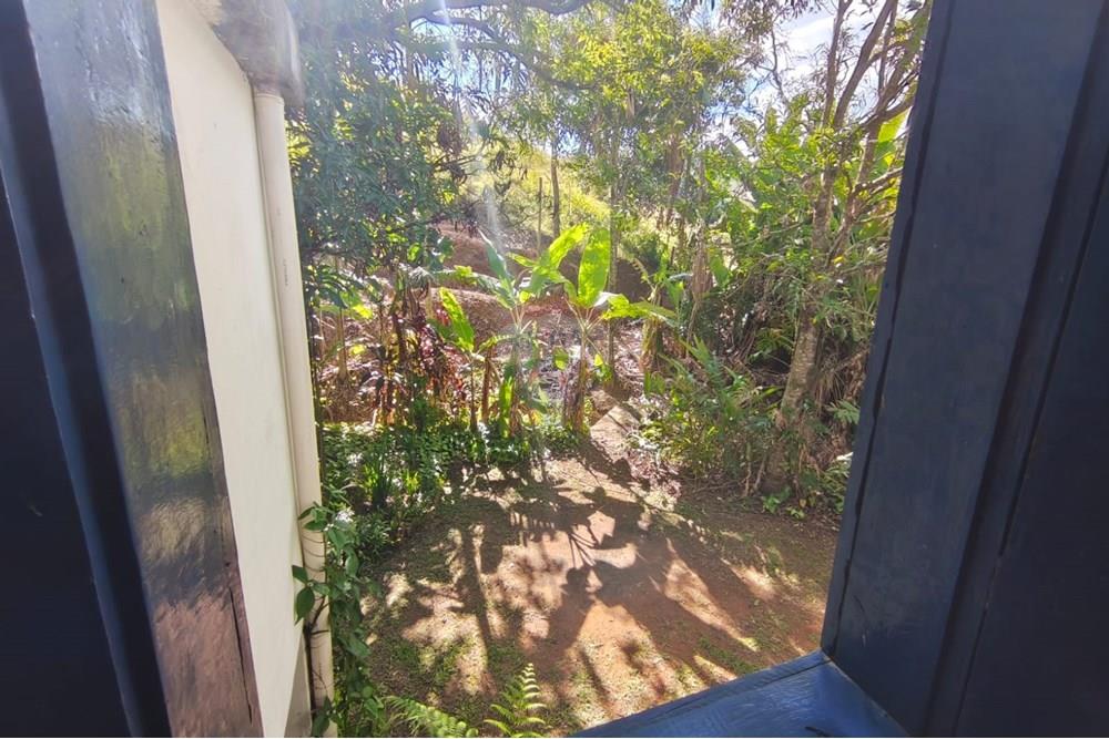 Chácara / Sítio / Fazenda - Venda - Guaçuí , Espírito Santo - WhatsApp Image 2025-07-16 at 09.16.24 (2).jpeg - 620251001-23