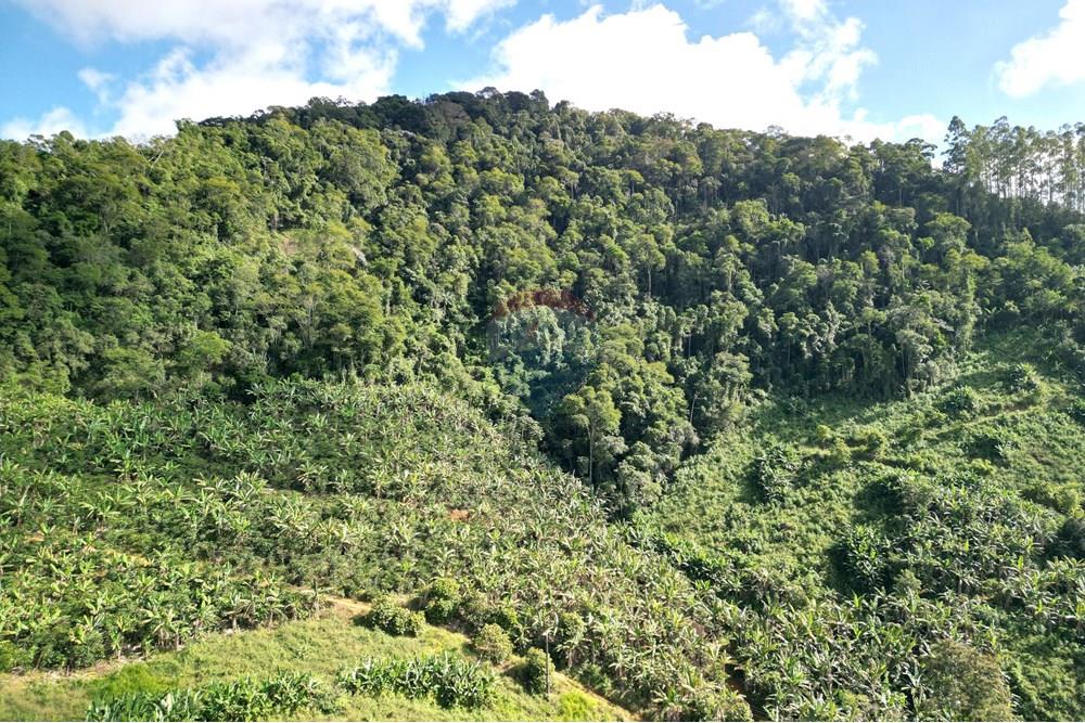 Chácara / Sítio / Fazenda - Venda - Iconha , Espírito Santo - DJI_0563.JPG - 620201020-13