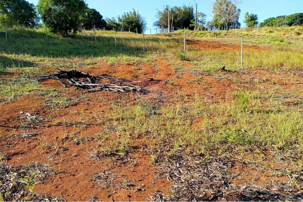 Terreno - Venda - Anchieta , Espírito Santo - IMG_20250226_162811~2.jpg - 620181007-37