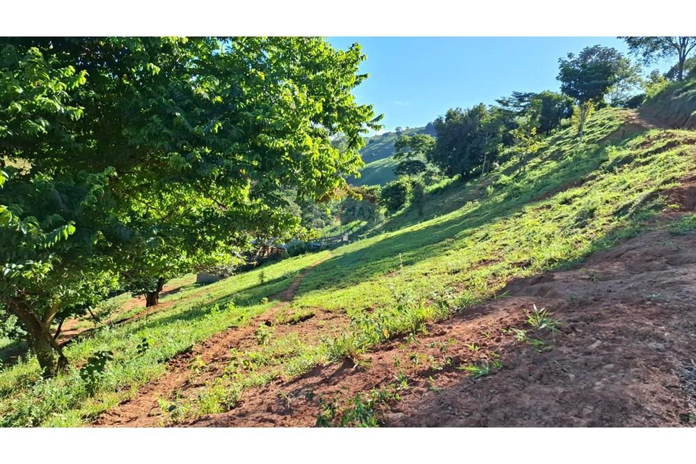 Chácara / Sítio / Fazenda - Venda - Afonso Cláudio , Espírito Santo - WhatsApp Image 2025-02-07 at 17.16.14 (2).jpeg - 620171039-31