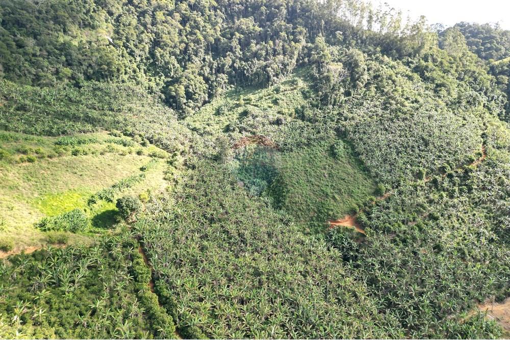 Chácara / Sítio / Fazenda - Venda - Iconha , Espírito Santo - DJI_0544.JPG - 620201020-13