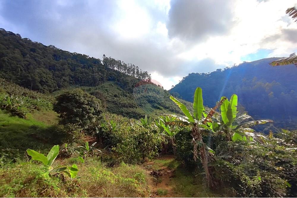 Chácara / Sítio / Fazenda - Venda - Iconha , Espírito Santo - 1751471375649.jpg - 620201020-13