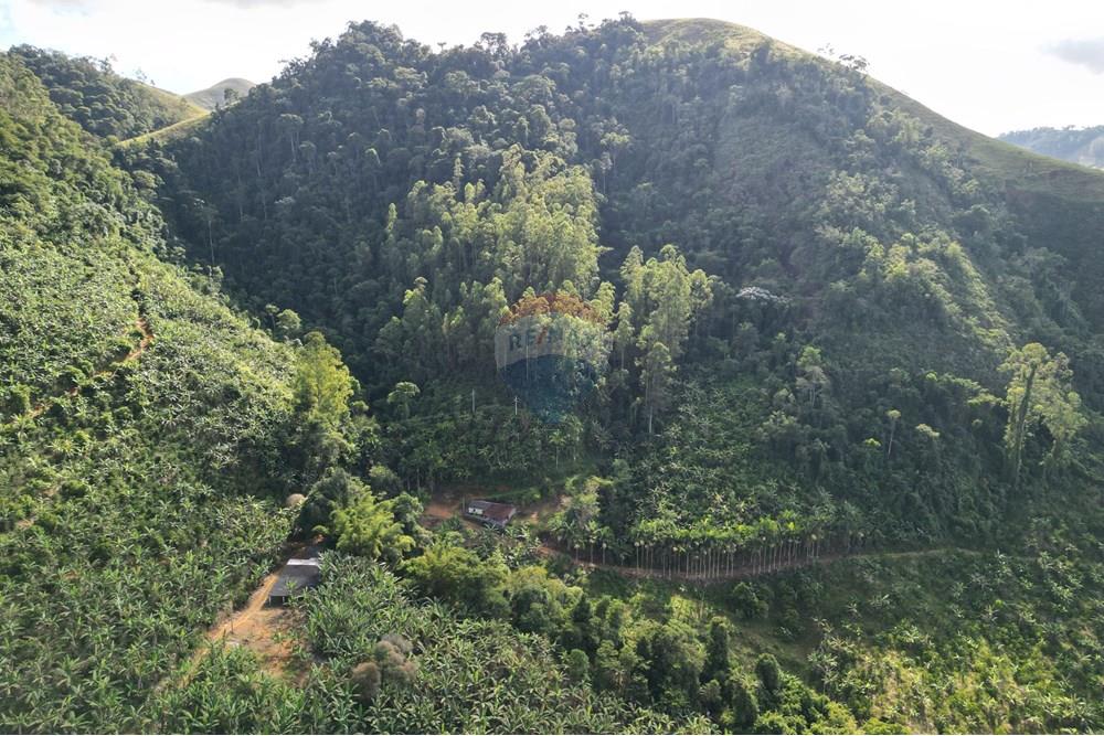 Chácara / Sítio / Fazenda - Venda - Iconha , Espírito Santo - DJI_0548.JPG - 620201020-13