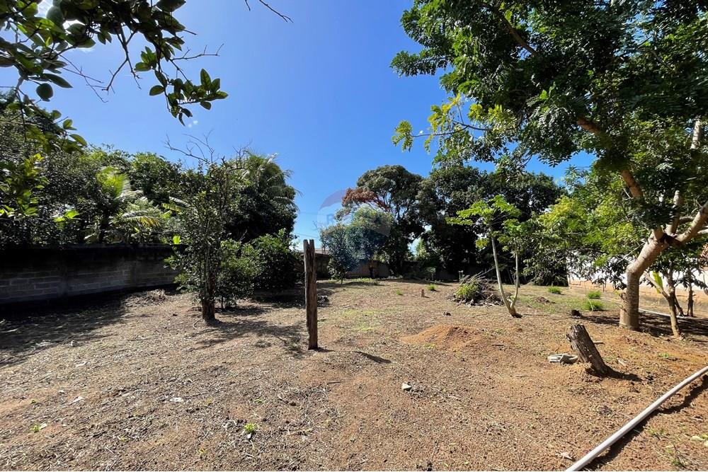 Terreno - Venda - Vila Velha , Espírito Santo - IMG_6421.jpeg - Quintal - 620171059-6