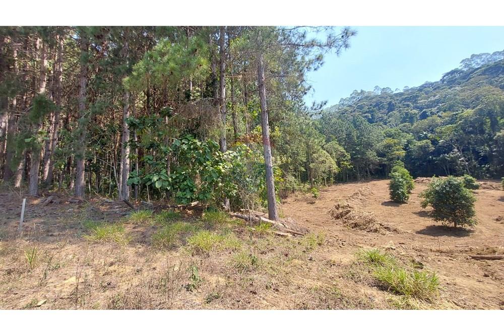 Terreno - Venda - Domingos Martins , Espírito Santo - WhatsApp Image 2025-06-05 at 11.09.51 (1).jpeg - 620171060-3