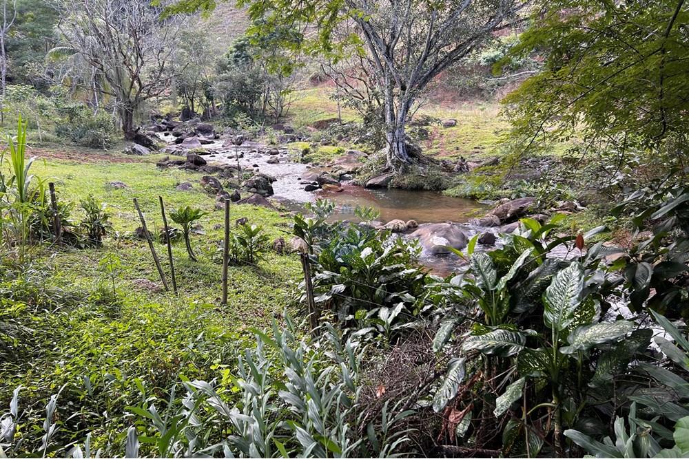 Chácara / Sítio / Fazenda - Venda - Anchieta , Espírito Santo - 20250714_173036324_iOS.jpg - 620181014-7
