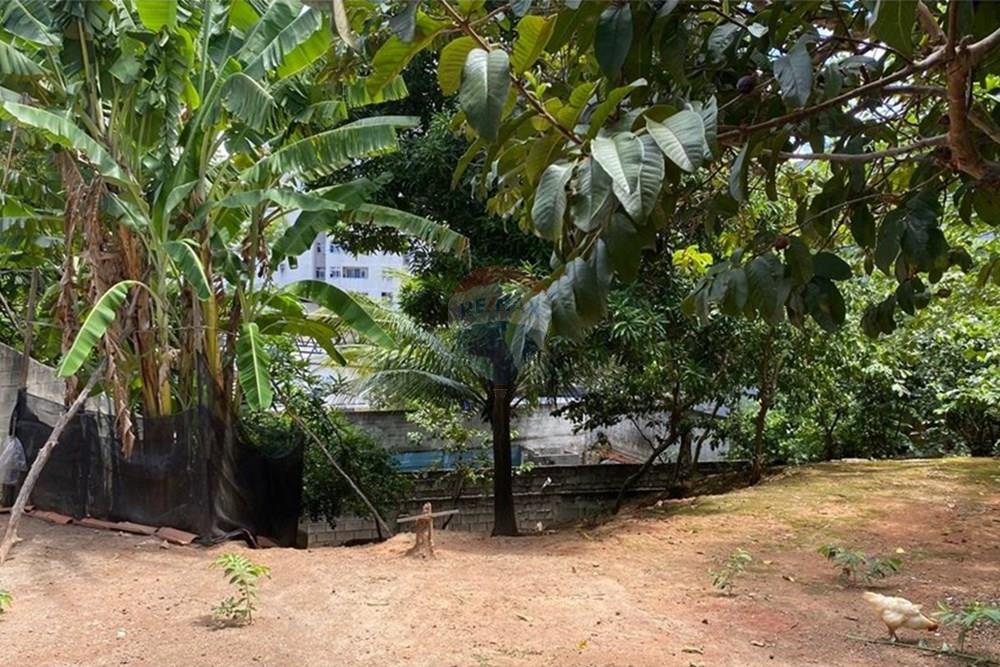 Terreno - Venda - Vila Velha , Espírito Santo - WhatsApp Image 2025-03-18 at 16.12.37.jpeg - 620101035-22