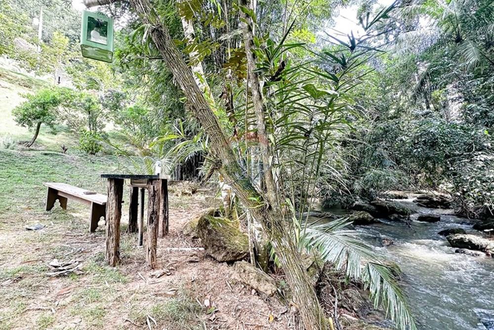Chácara / Sítio / Fazenda - Venda - Domingos Martins , Espírito Santo - Virginia1-55.jpg - 620171046-11