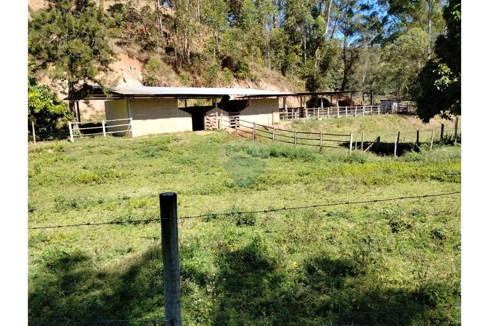 Chácara / Sítio / Fazenda - Venda - Guaçuí , Espírito Santo - WhatsApp Image 2025-05-22 at 12.22.27.jpeg - 620251001-6