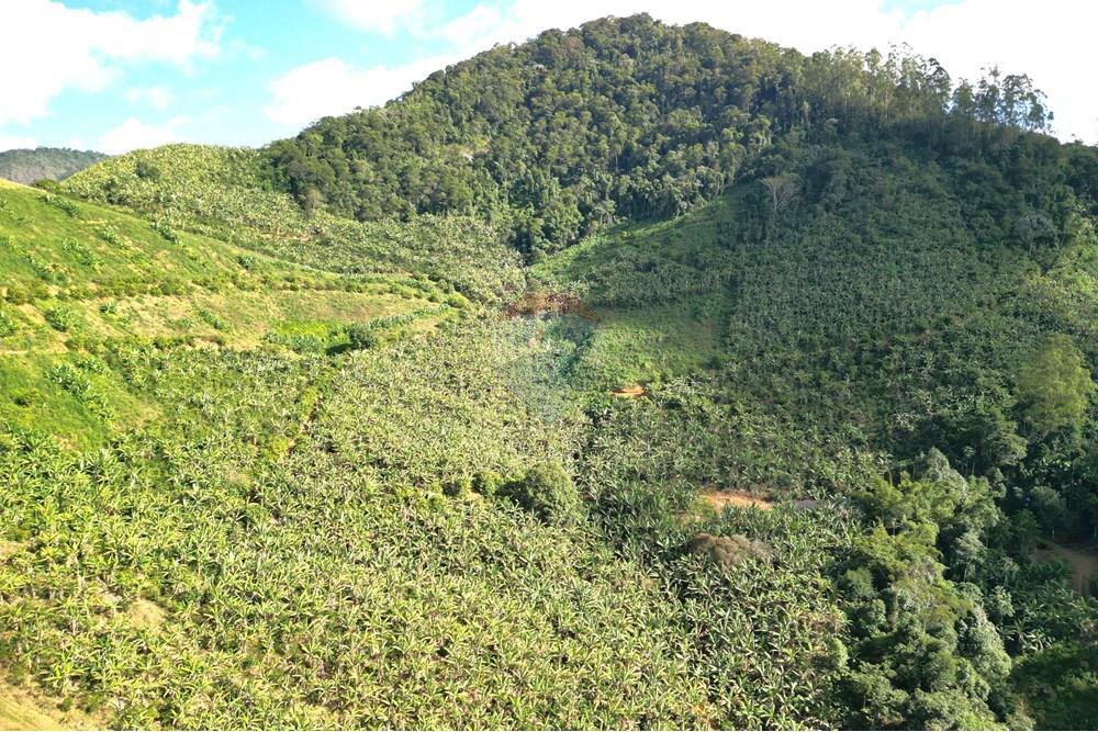 Chácara / Sítio / Fazenda - Venda - Iconha , Espírito Santo - DJI_0521.JPG - 620201020-13
