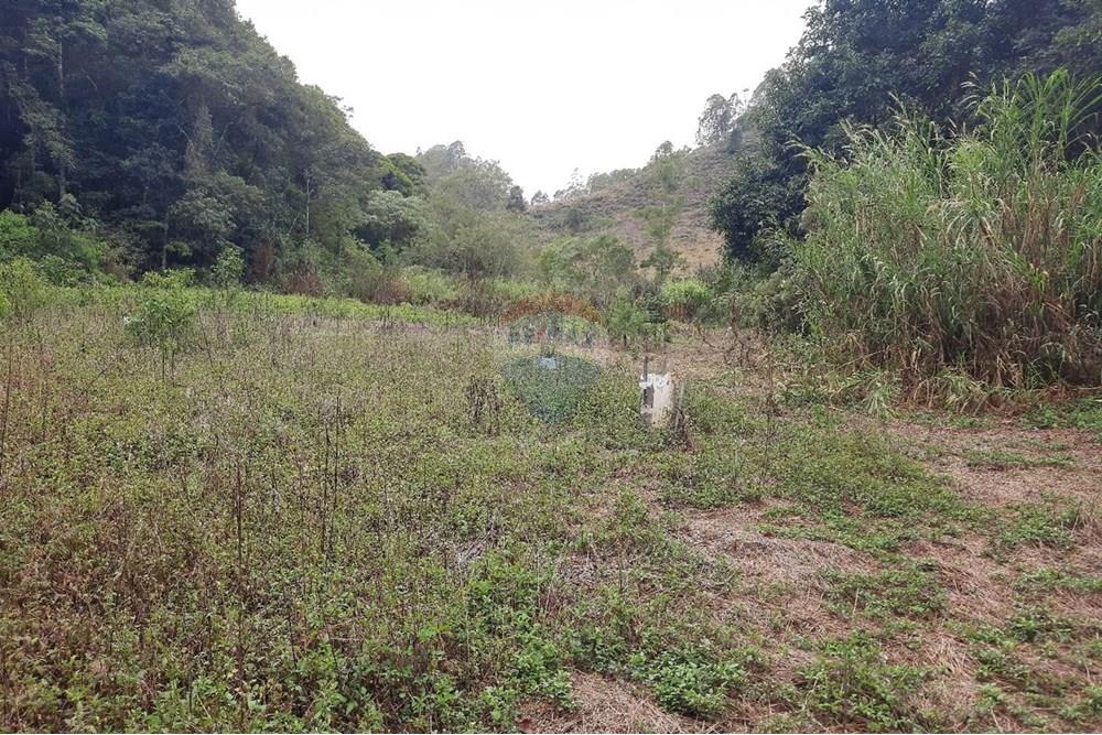 Terreno - Venda - Domingos Martins , Espírito Santo - WhatsApp Image 2025-06-05 at 11.09.38 (2).jpeg - 620171060-3