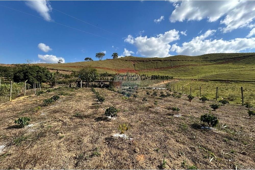 Chácara / Sítio / Fazenda - Venda - Guaçuí , Espírito Santo - WhatsApp Image 2025-09-22 at 10.16.34 (7).jpeg - 620251002-15