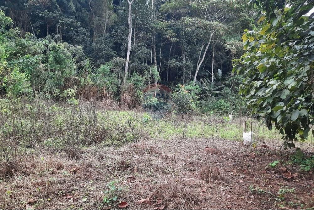 Terreno - Venda - Domingos Martins , Espírito Santo - WhatsApp Image 2025-06-05 at 11.09.42.jpeg - 620171060-3