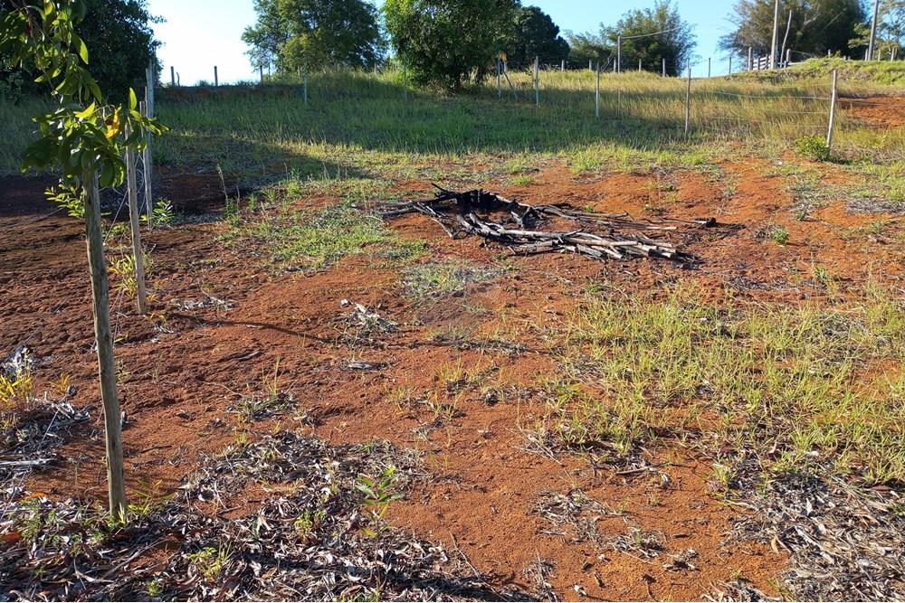 Terreno - Venda - Anchieta , Espírito Santo - IMG_20250226_162804.jpg - 620181007-37