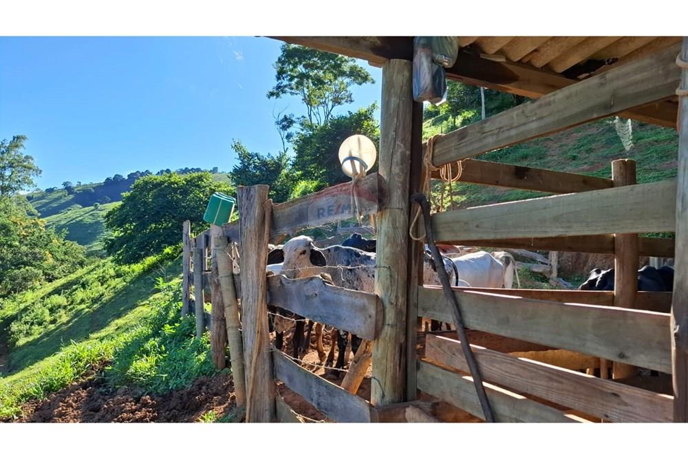 Chácara / Sítio / Fazenda - Venda - Afonso Cláudio , Espírito Santo - WhatsApp Image 2025-02-07 at 17.16.16 (4).jpeg - 620171039-31