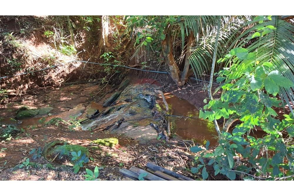 Chácara / Sítio / Fazenda - Venda - Afonso Cláudio , Espírito Santo - WhatsApp Image 2025-02-07 at 17.16.18.jpeg - 620171039-31