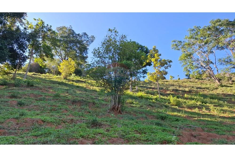 Chácara / Sítio / Fazenda - Venda - Afonso Cláudio , Espírito Santo - WhatsApp Image 2025-02-07 at 17.16.15 (4).jpeg - 620171039-31