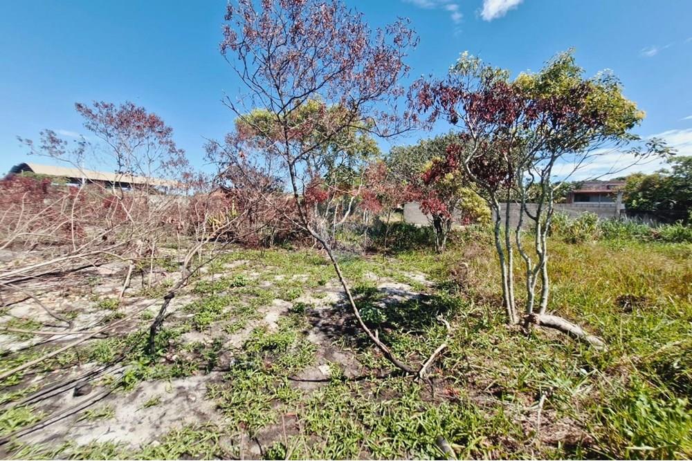 Terreno - Venda - Vila Velha , Espírito Santo - 7.jpg - 620071021-10