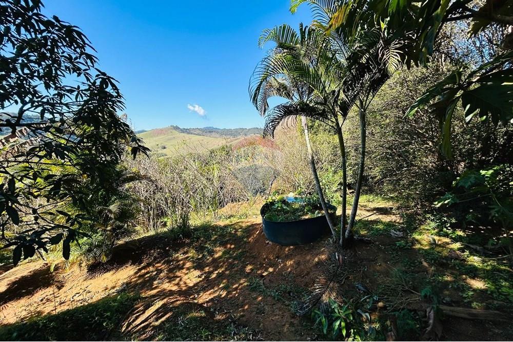 Chácara / Sítio / Fazenda - Venda - Guaçuí , Espírito Santo - WhatsApp Image 2025-07-23 at 14.15.10.jpeg - 620251001-14