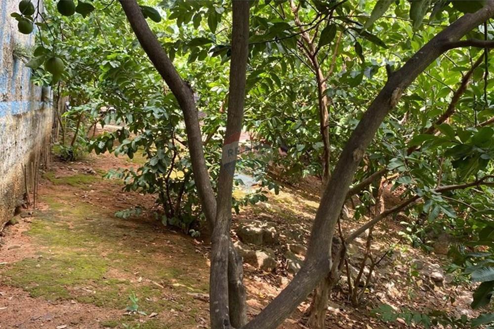 Terreno - Venda - Vila Velha , Espírito Santo - WhatsApp Image 2025-03-18 at 16.12.38 (1).jpeg - 620101035-22