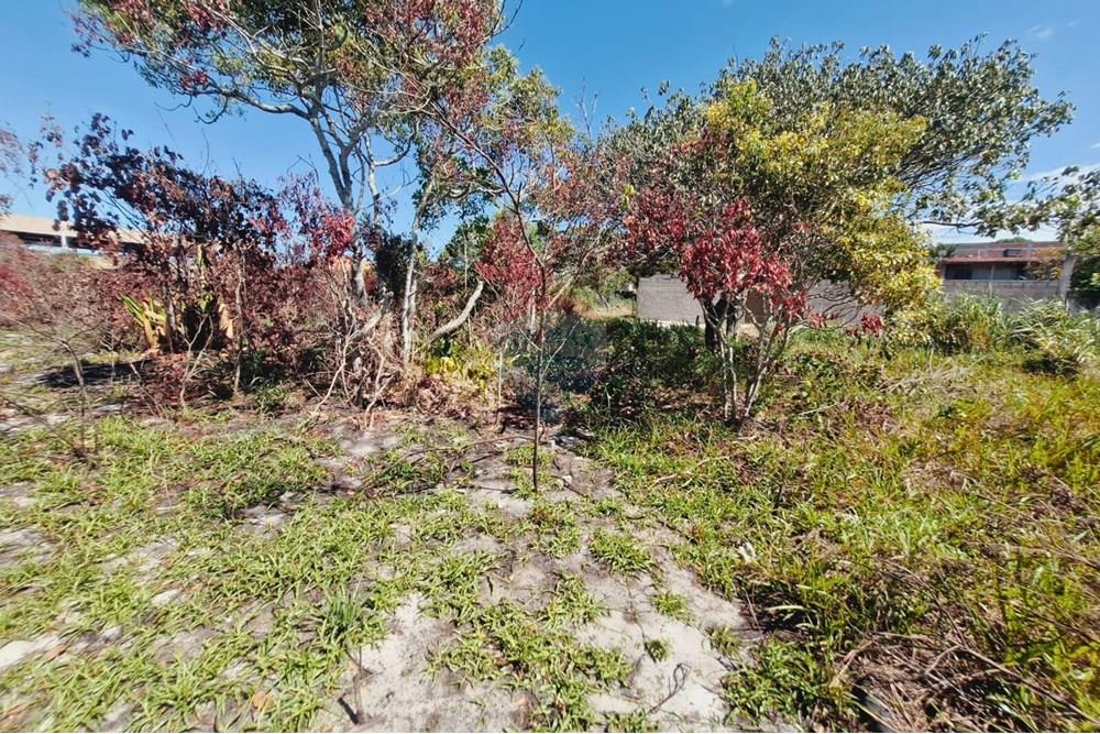 Terreno - Venda - Vila Velha , Espírito Santo - 6.jpg - 620071021-10