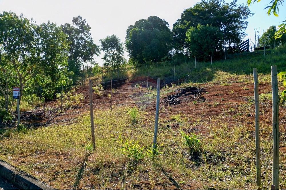 Terreno - Venda - Anchieta , Espírito Santo - IMG_20250226_162909~2.jpg - 620181007-37