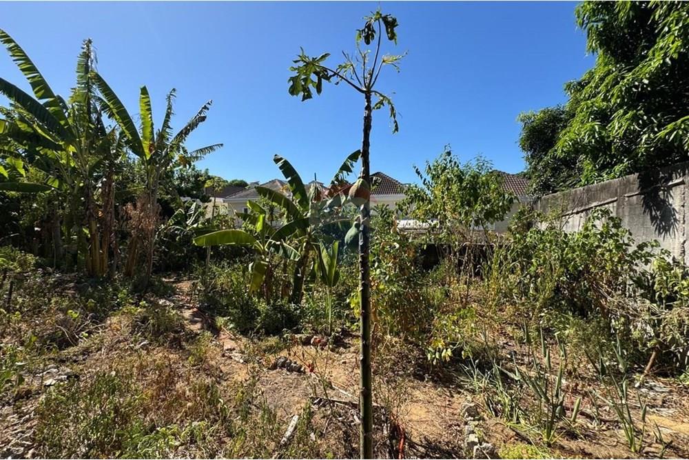 Terreno - Venda - Vitória , Espírito Santo - WhatsApp Image 2025-02-19 at 02.18.56.jpeg - 620131108-8