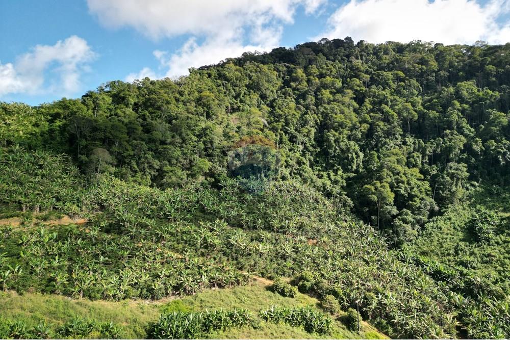 Chácara / Sítio / Fazenda - Venda - Iconha , Espírito Santo - DJI_0562.JPG - 620201020-13