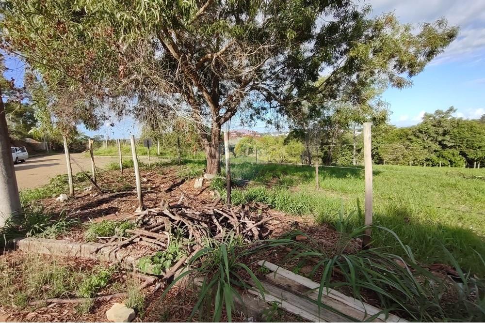 Terreno - Venda - Anchieta , Espírito Santo - WhatsApp Image 2025-04-11 at 15.59.08 (1).jpeg - 620181007-41