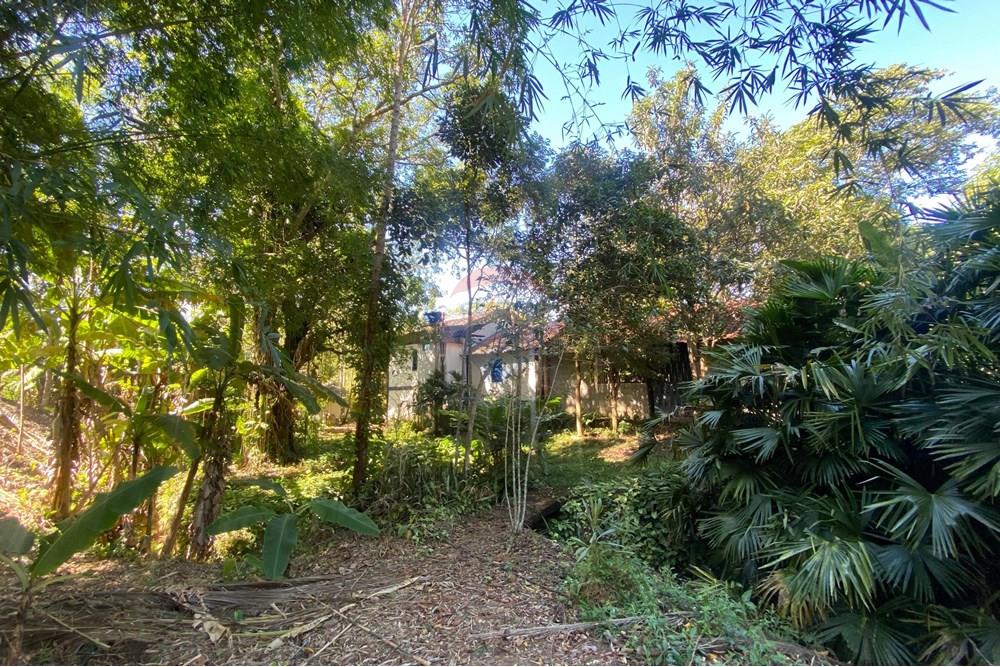 Chácara / Sítio / Fazenda - Venda - Guaçuí , Espírito Santo - WhatsApp Image 2025-07-08 at 16.05.33.jpeg - 620251001-23