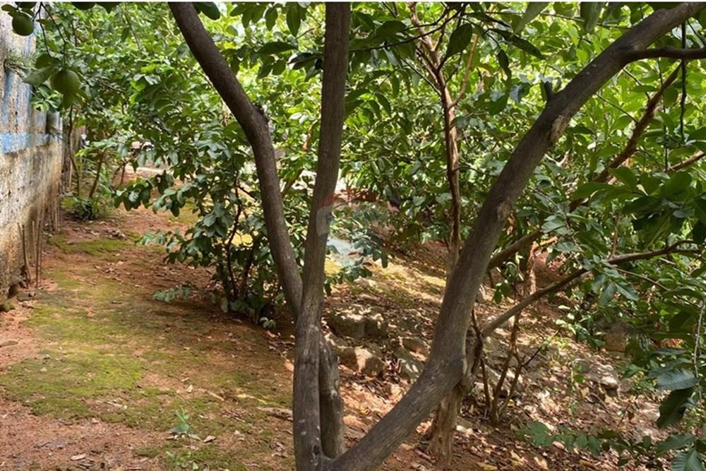 Terreno - Venda - Vila Velha , Espírito Santo - WhatsApp Image 2025-03-18 at 16.12.38.jpeg - 620101035-22