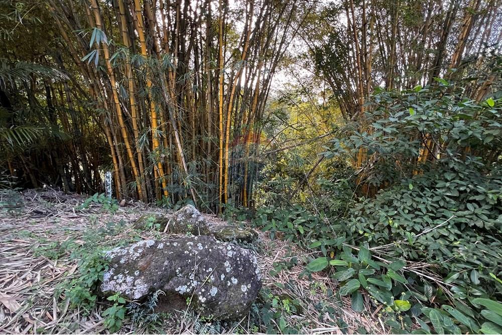 Chácara / Sítio / Fazenda - Venda - Anchieta , Espírito Santo - 20250714_172054007_iOS.jpg - 620181014-7